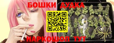 индика Ирбит