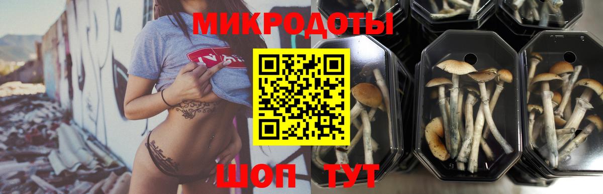 Псилоцибиновые грибы мицелий Лабинск