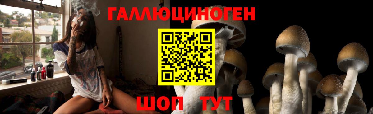 Псилоцибиновые грибы Cubensis  Галлюциногенные грибы Psilocybe  Вход с VPN  Лабинск 